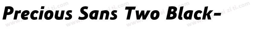 Precious Sans Two Black字体转换